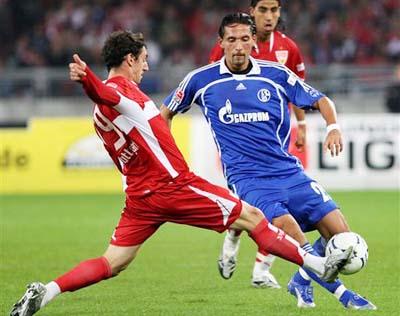 是普遍的质 是普遍的质